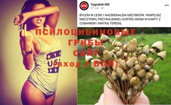 наркотики Алексин