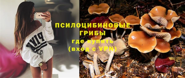 ешки Алзамай