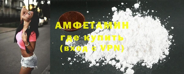 стаф Новозыбков