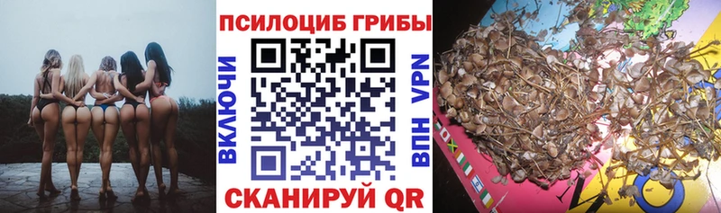Галлюциногенные грибы MAGIC MUSHROOMS  Нововоронеж 